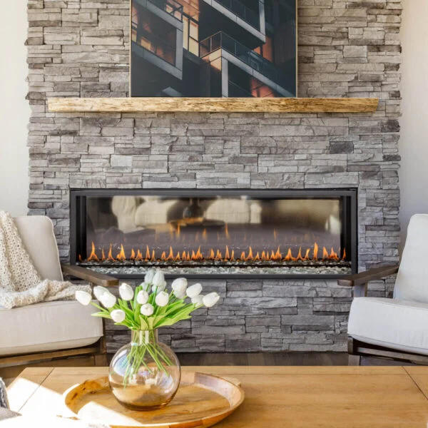 Foyer au Gaz Transparent Deluxe EXEMPLAR  R520ST de Montigo