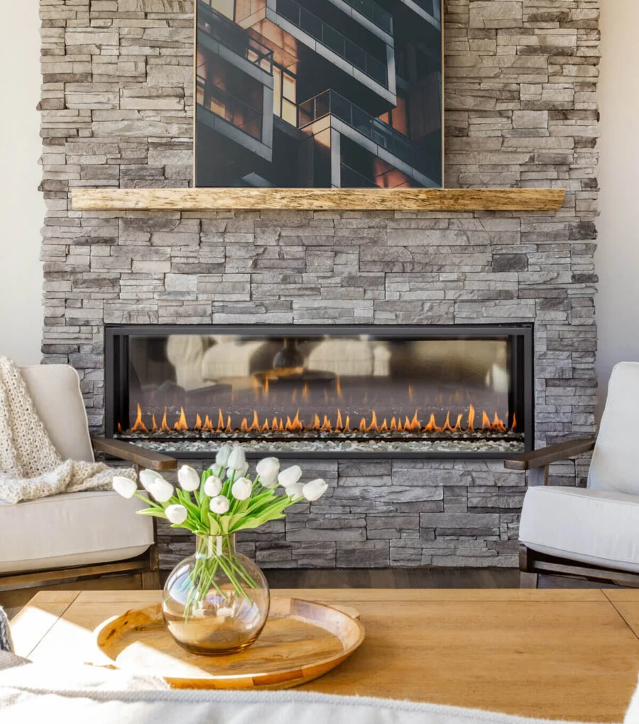 Foyer au Gaz Transparent Deluxe EXEMPLAR R520ST de Montigo