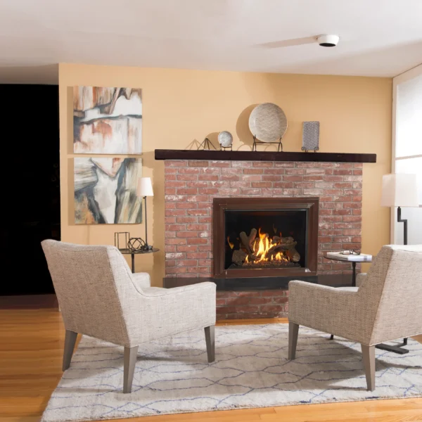 Encastrable au gaz GF635 Newcastle DV IPI de Jotul