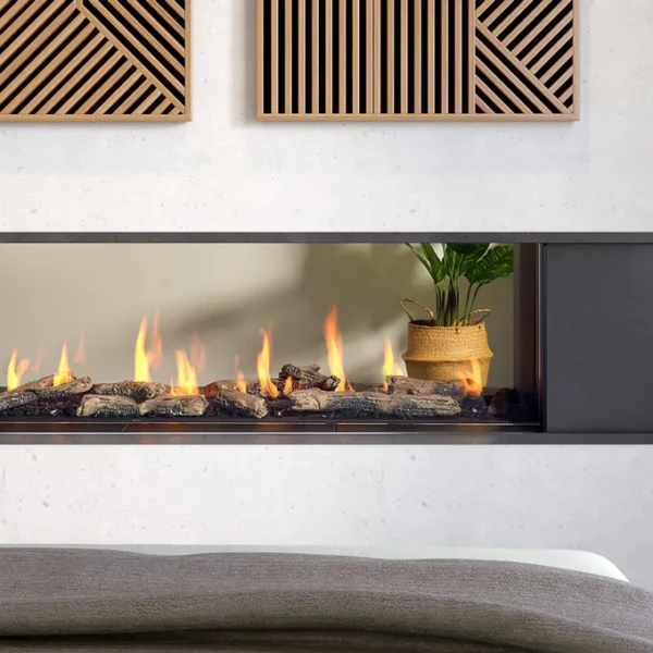 Foyers au gaz Seattle See-Through 60 de Regency