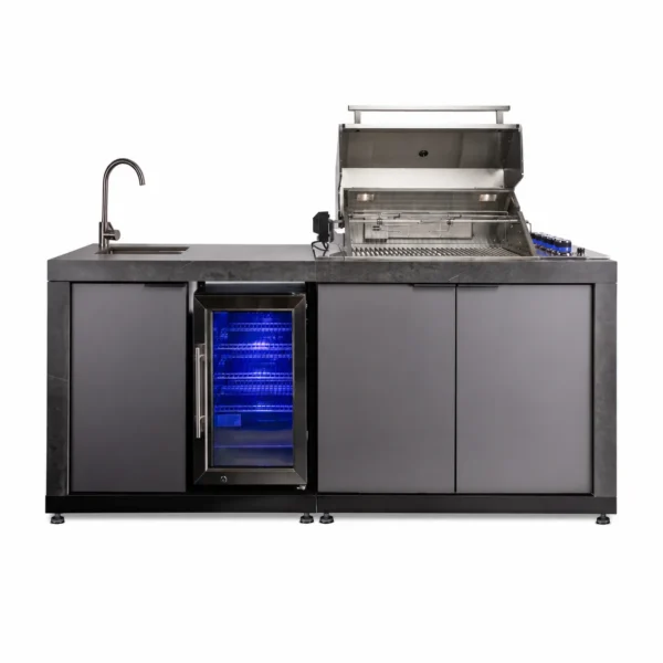 4-Burner and 2-Module Outdoor Kitchen Set